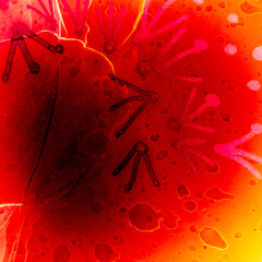 Rose Alcohol Ink Mix. Abstract Oil Canvas. Bright Alcohol Ink Abstract. Color Oil Paint. Passion Abstract Art Isolated. Fashion Water. Watercolor Brush Strokes.