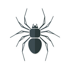 A dark grey spider icon with eight legs on a white background