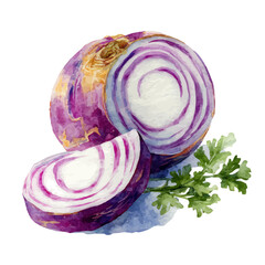 Fototapeta premium My Watercolor, hand-painted sliced turnip with purple painting illustration, vector illustration, AI painting design, and EPS format design. vector illustration, isolated on a white background, 