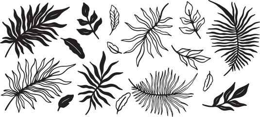 Tropical Leaves Vector – Palm Frond, Exotic Plant Doodle, Nature Sketch, Decorative Botanical Illustration