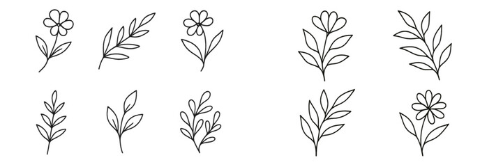 Minimalist collection of hand drawn flowers and leaves line art set for botanical design elements isolated on a white background