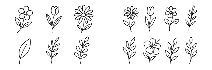 Set of hand-drawn flower and leaf doodles in a minimalist line art style for botanical design elements © Alan