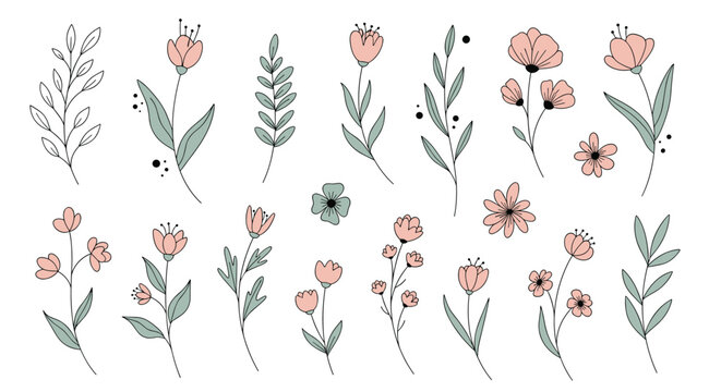 Charming floral elements with delicate blooms and leaves for your elegant design projects and creative resources