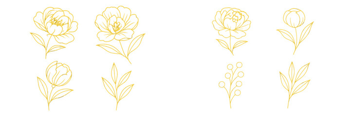 Elegant gold foil botanical collection featuring peony flowers and leaves in a sophisticated line art style for luxury branding and modern design