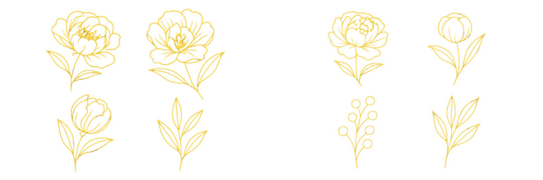 Elegant gold foil botanical collection featuring peony flowers and leaves in a sophisticated line art style for luxury branding and modern design