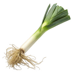 Fresh raw leek vegetable with roots and green leaves isolated on transparent background
