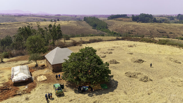 Njawai, Nigeria - 27 January 2025: Aerial view of a rural landscape where a building stands near a full tree, surrounded by golden fields and distant hills, with people gathered nearby.
