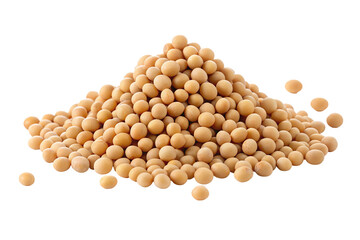 Organic soybeans for healthy and natural cooking ingredient and vegetarian protein source