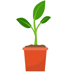Illustration of Sprout in a Pot