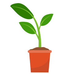 Illustration of Sprout in a Pot
