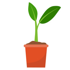 Illustration of Sprout in a Pot