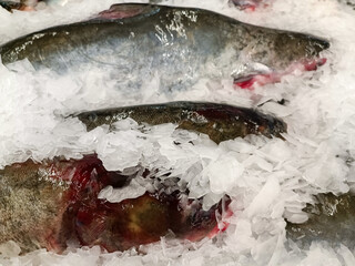 Chinese fish in ice tray