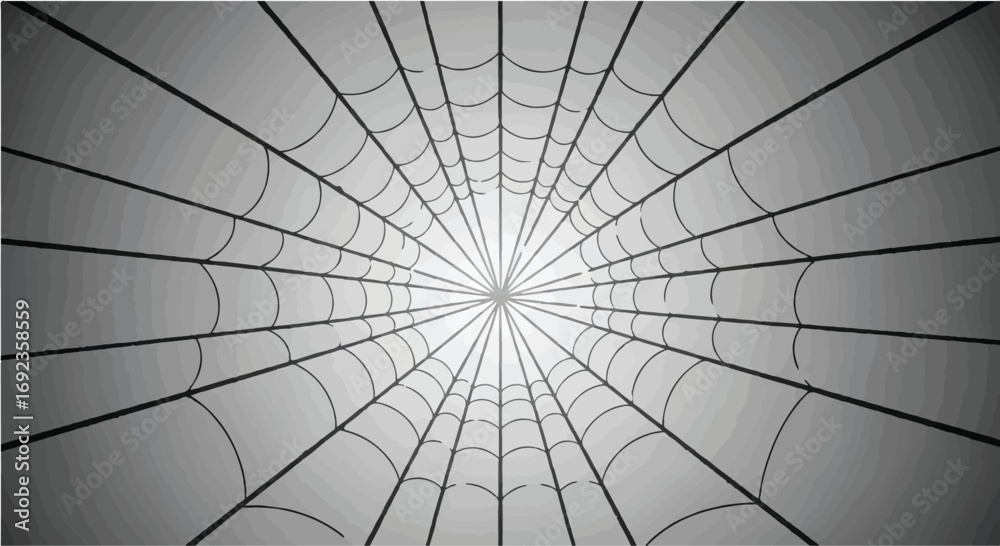 Wall mural intricate spider web pattern creating a radial tunnel effect with dramatic light