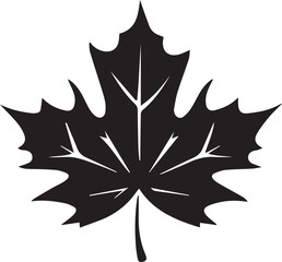 vector illustration of a leaf