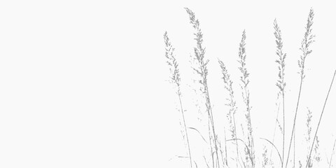 Obraz premium Thin herbs. Graphic black form with dusty overlay, scratch marks and distressed halftone threshold. Speckled pattern.