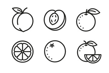 Outline illustrations of peaches and oranges with cross-sections