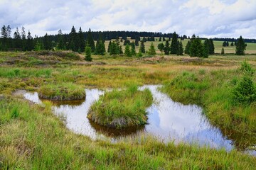 View of Ore mountains. Peat bog in Bozi Dar, Czech Republic, Europe.