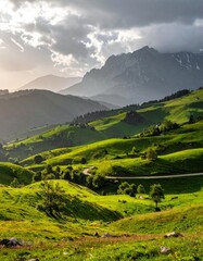 Obraz premium Green rolling hills under misty mountains
