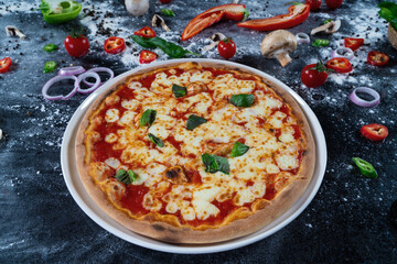 Margherita Pizza – Served on White Porcelain Plate