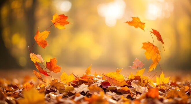 Fondo de oto&ntilde;o con tablones de madera