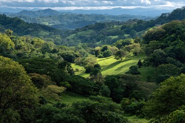 Fototapeta premium Costa Rica Coffee. Beautiful Countryside Coffee Field Among Lush Green Mountains