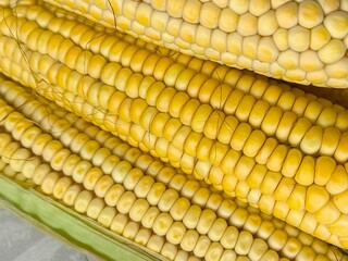 Yellow corn on the cob lies on the table in close-up. GMO products. Grain crops
