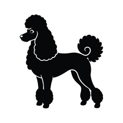 Elegant Standing Poodle Silhouette – Side Profile Dog Vector