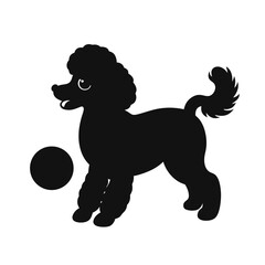 Silhouette of a poodle puppy playing with a ball