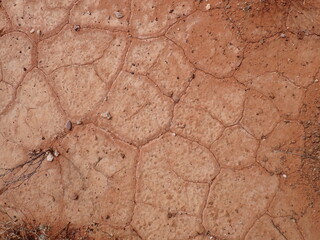 Australian dried soil and biocrust