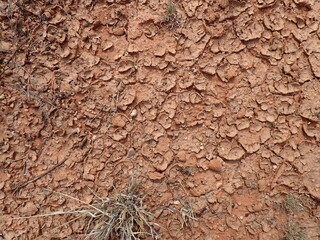 Australian dried soil and biocrust