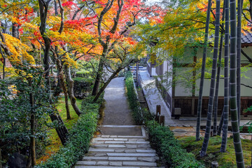 Scenic view of Jojakkoji Temple with beautiful foliage in autumn in Kyoto, Japan