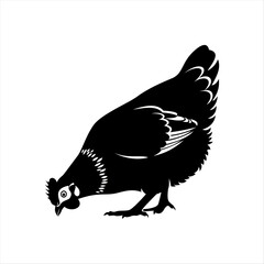 Black and White Chicken Silhouette Vector