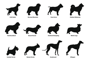 Dog silhouette vector set, 12 pet dog profiles in black for poster, education chart, veterinary branding, kennel signage and pet shop logo