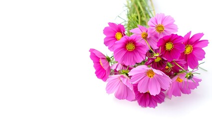 Pink flower bouquet isolated on white background