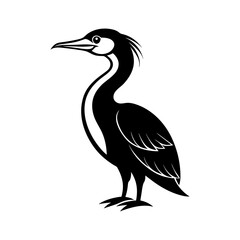 Double Crested Cormorant Bird Outline on White Background
