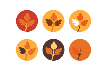 Collection of autumn leaves in circle shape