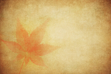 Autumn leaves over vintage background. Perfect grunge fall texture.
