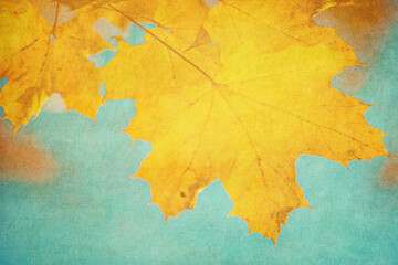 Autumn leaves over vintage background. Perfect grunge fall texture.