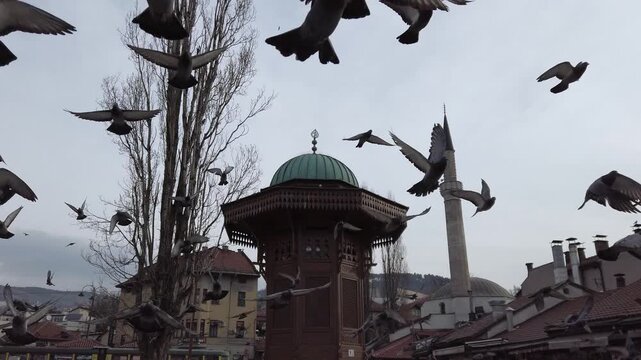 Flock of Pigeons Taking Flight from the Historic Sebilj Fountain in Sarajevo's Old Town, Bascarsija, Against a Cloudy Sky with a Minaret in the Background, Showcasing Bosnian Culture.