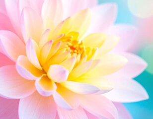 Fototapeta premium Soft pastel flower close-up