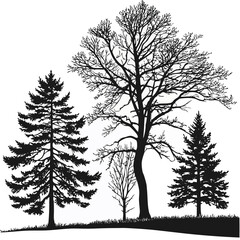 Silhouette of a variety of bare deciduous trees and evergreen pine trees standing on a grassy hill against a white background