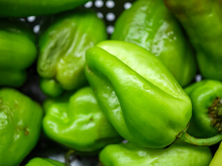 A photograph of many fresh green bell peppers packed together with one long light green pepper visible capturing the color and texture of the vegetable harvest