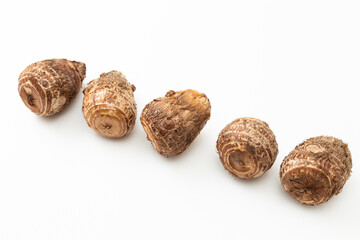 並んだ里芋　白バック