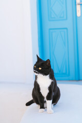 サントリーニのブルードーム