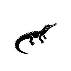 Crocodile Vector Illustration – Ferocious Swamp Reptile Artwork