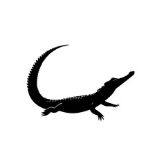 Crocodile Vector Illustration – Aggressive Swamp Predator Artwork