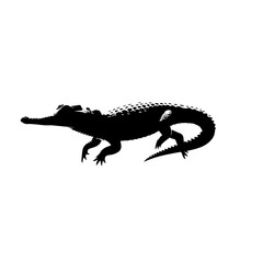Crocodile Vector Illustration – Wild Jungle Predator Artwork