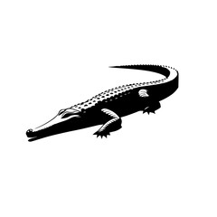 Crocodile Vector Illustration – Aggressive Wildlife River Reptile