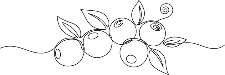 Minimalist single line drawing of a cluster of blueberries with leaves