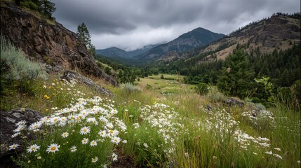Mountain valley meadow blanketed in wildflowers under a moody sky